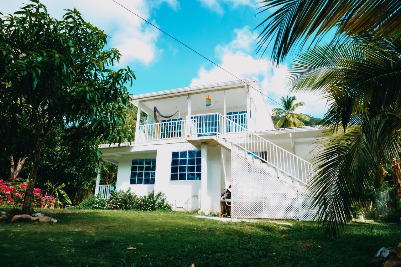 Posada Mango Tree Bahia Suroeste Exterior photo
